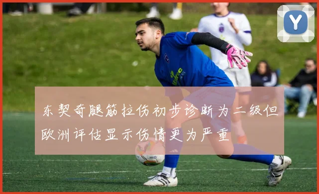 东契奇腿筋拉伤初步诊断为二级但欧洲评估显示伤情更为严重